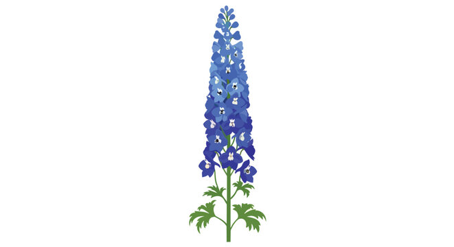 Beautiful Blue Delphinium Flower Illustration Isolated on White Background
