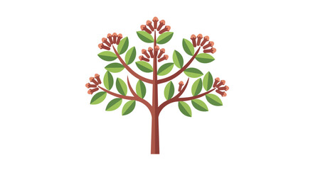 Obraz premium Clove Tree Illustration with Green Leaves and Aromatic Flower Buds