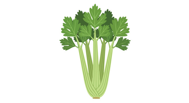 Fresh Celery Stalks Illustration on White Background