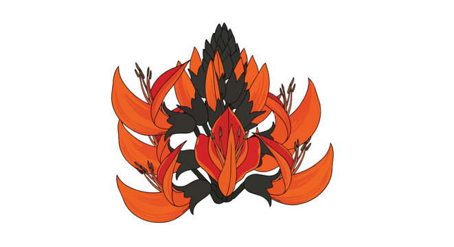 Butea Monosperma Flame of the Forest Flower Illustration