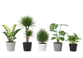 Obraz premium A collection of five distinct potted indoor plants featuring variegated and lush green foliage