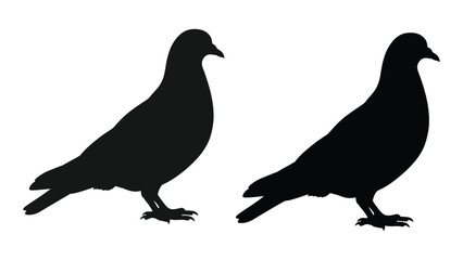 Fototapeta premium Two black silhouettes of pigeons perched with subtle variations in posture