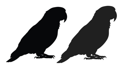 Fototapeta premium Two parrot silhouettes are displayed facing slightly to the right against a white background