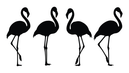 Obraz premium Four black silhouettes of flamingos standing in various poses against a white background
