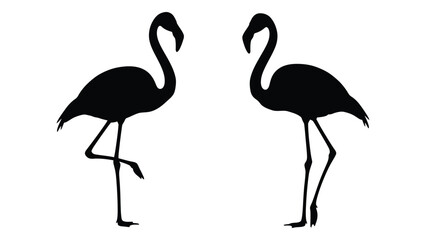 Fototapeta premium Two black silhouettes of flamingos standing with curved necks and slender legs