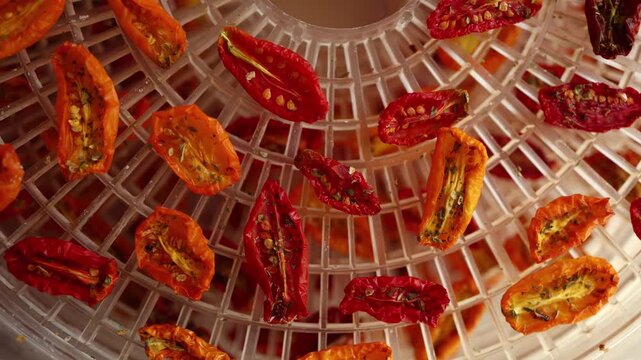 Bright red and yellow cherry tomatoes are arranged in a dehydrator, drying under warm air. This healthy method preserves their flavor, perfect for summer snacks.