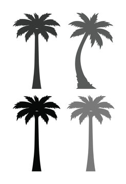 Tropical palm tree silhouettes, a set of four distinct black and gray vector palm tree icons, ideal for summer, vacation, and travel designs, graphic resources for beach and island themes.