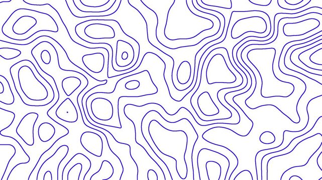 abstract blue geometric grid topographic line contour map white background, futuristic animated wavy lines waveforms backdrop pattern seamless loop video, dynamic topography polygon angular clip