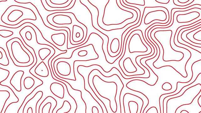 abstract red geometric grid topographic line contour map white background, futuristic animated wavy lines waveforms backdrop pattern seamless loop video, dynamic topography polygon angular clip