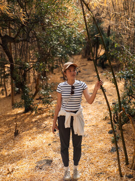 Female hiker studying plant details on bright forest trail