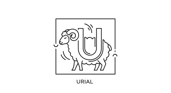 Urial Sheep Logo Design, Stylized Animal Illustration with Letter U