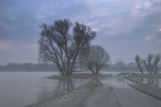 Rhine floodwaters at the ferry in Zons on the Lower Rhine region,North Rhine-Westphalia,Germany
