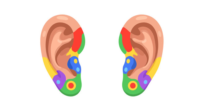 Ear Reflexology Images – Browse 332 Stock Photos, Vectors, and Video ...