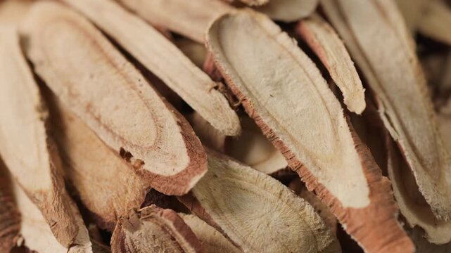 Extreme macro of licorice root slices, focusing on circular cross-sections and fine internal grain. Strong texture detail makes it ideal for background or visual layering.
