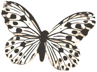 Naklejka premium Grunge Butterfly Sticker