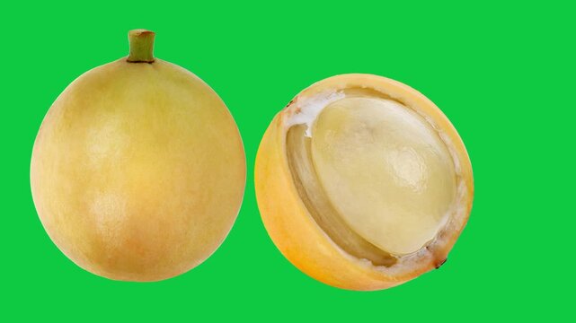 Burmese grape on green sreen