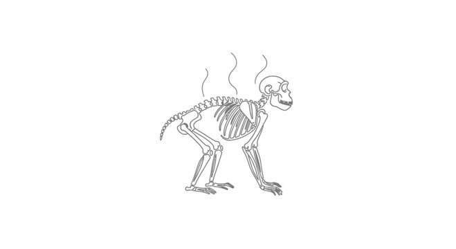 Monkey skeleton with steam rising, evolution concept, funny cartoon style
