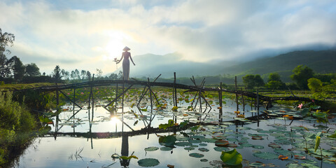 Fototapeta premium Woman on Bamboo Bridge Tra Ly Lotus Pond Vietnam Sunrise