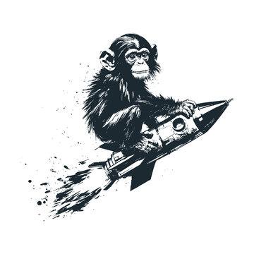 A chimpanzee on a rocket