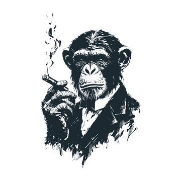 Chimpanzee smoking a cigar