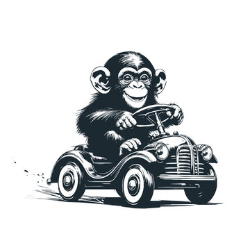 Cute chimpanzee ride a classic pedal car