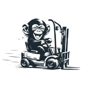 Cute chimpanzee ride a forklift