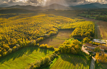 Fototapeta premium Autumn colors covering Tuscany hills near San Galgano, Italy.