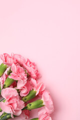 Fototapeta premium Red carnations bouquet on colored background