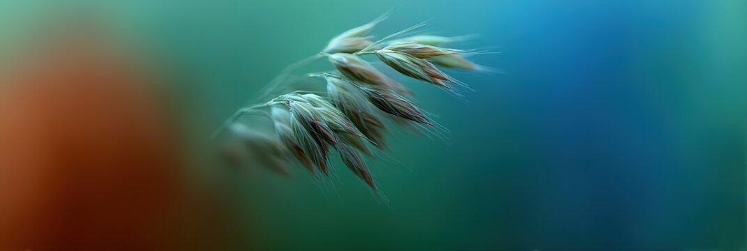 Gaussian Blur Blue Green Brown Abstract Backdrop