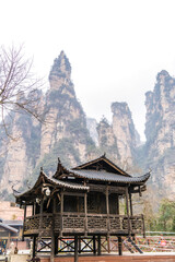 Naklejka premium Zhangjiajie National Forest Park. Mountains with many trees and some rocks. Avatar Mountains in Zhangjiajie, Wulingyuan, Hunan Province, China. A natural landmark and popular tourist destination. 