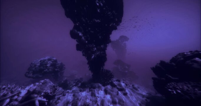 Beneath the surface, underwater volcanic activity creates stunning features surrounded by diverse marine life. This unique habitat flourishes in vibrant colors and intriguing shapes.