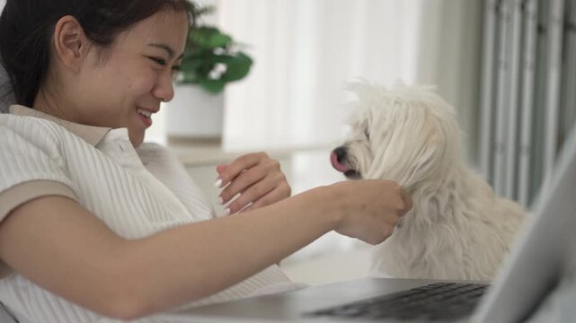 The Asian pretty woman is spending leisure time with her dog at the bedroom. Leisure activity, lifestyle, pet.