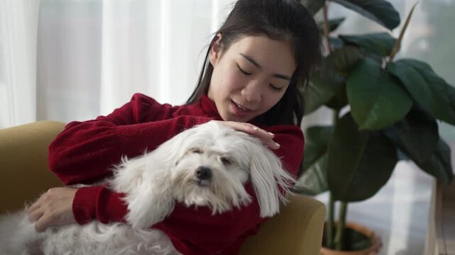 The Asian pretty woman is spending leisure time with her dog at the living room. Leisure activity, lifestyle, pet.