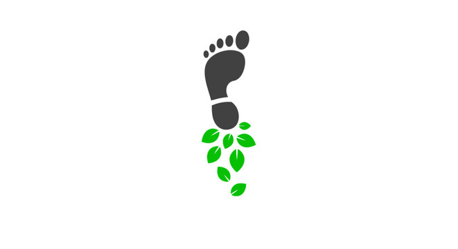 Footprint with green leaves falling.