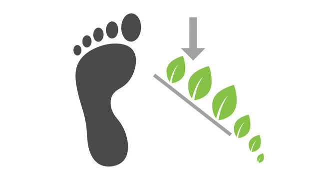 Footprint with leaves falling down.