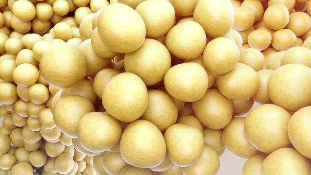 Increased fat cells. Man getting fat and gaining weight, junk food and overeating leading to obesity, excess fat, from slim figure to overweight figure, Obesity animation, 3D rendering.