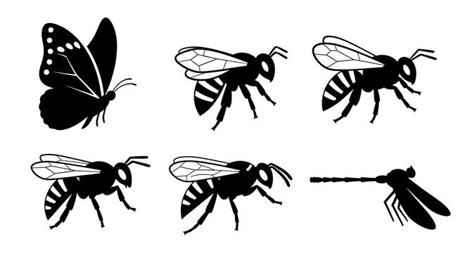 Insect Silhouettes Vector Icons Set: Butterfly, Bees, and Mosquito Black Graphics