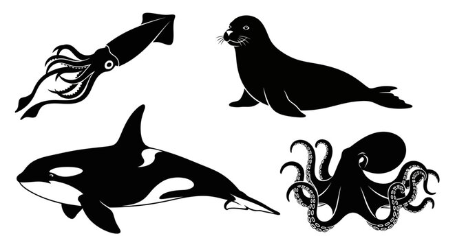 Marine Animals Silhouettes Collection: Squid, Seal, Orca, and Octopus