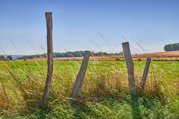 Fototapeta premium Outdoor, fence and landscape in countryside for agriculture, natural and development of environment. Sky, space and sustainability of vegetation in farm, empty and grass growth in nature and pasture