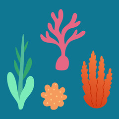 Fototapeta premium Colorful Coral Reef Elements, Oceanic Seaweed Illustrations, Marine Life Icons, Vector Graphic Set