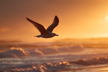 Fototapeta premium seagull in the sunset