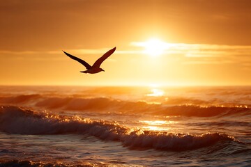 Fototapeta premium seagulls on the beach at sunset