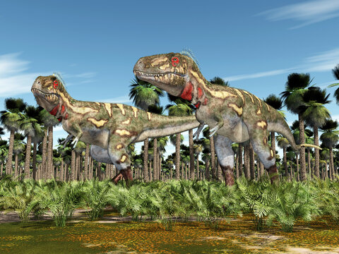Dinosaurier Nanotyrannus in einem Urwald mit Palmen