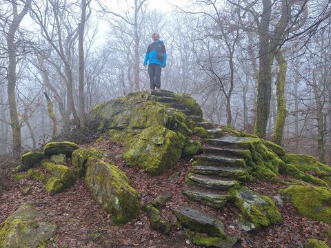 B&uuml;rgelplatte bei Kronberg im Taunus