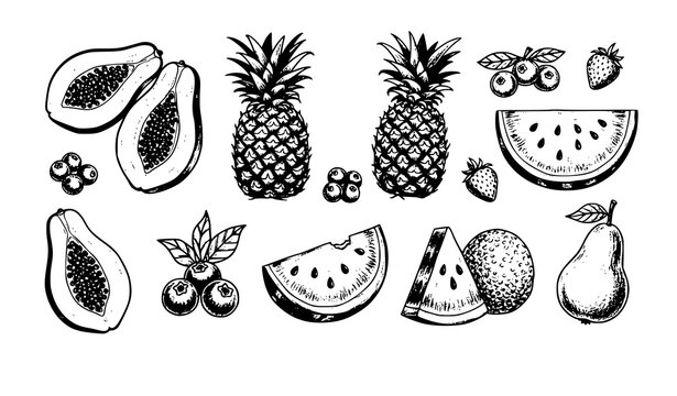 Minimal tropical fruit sketch icons vintage ink brush papaya pineapple strawberry vector isolated on white background
