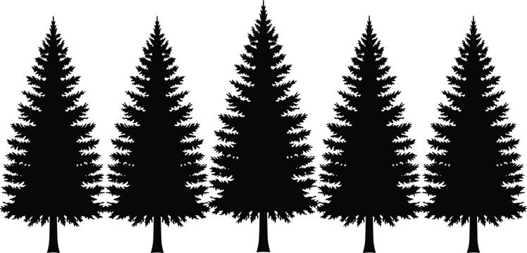 Pine tree silhouettes vector set with evergreen conifer trees, black forest illustration for nature design, woodland landscape, logo, and outdoor branding