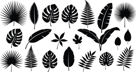 Set of tropical leaf silhouettes collection, palm, monstera and fern foliage, botanical vector elements isolated on white background for design © mokbul