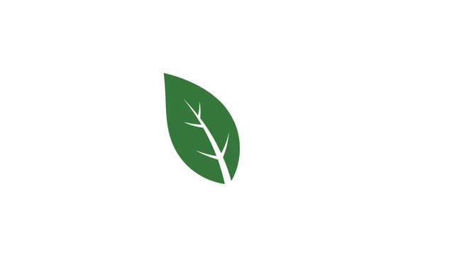 Green leaf with white veins.