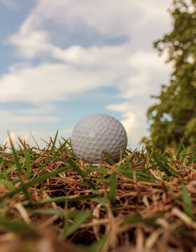 Golf Ball on Green: A close-up perspective of a pristine golf ball resting peacefully amidst the verdant, meticulously manicured grass of a golf course, under a cerulean sky with scattered clouds.