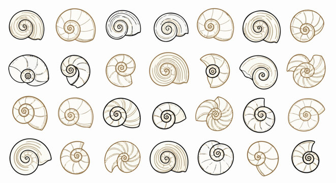 Collection of stylized spiral shell illustrations in various outlines and fills